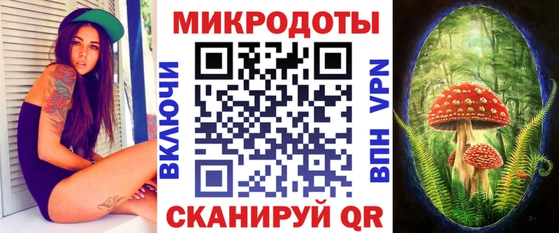 Псилоцибиновые грибы GOLDEN TEACHER Дрезна